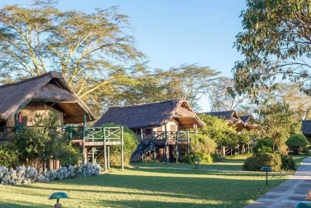 The Ultimate Travel Agency Kenya Experience for Wildlife Lovers