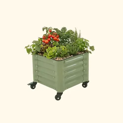 Raised Garden Planters: A Simple Guide to Better Home Growing