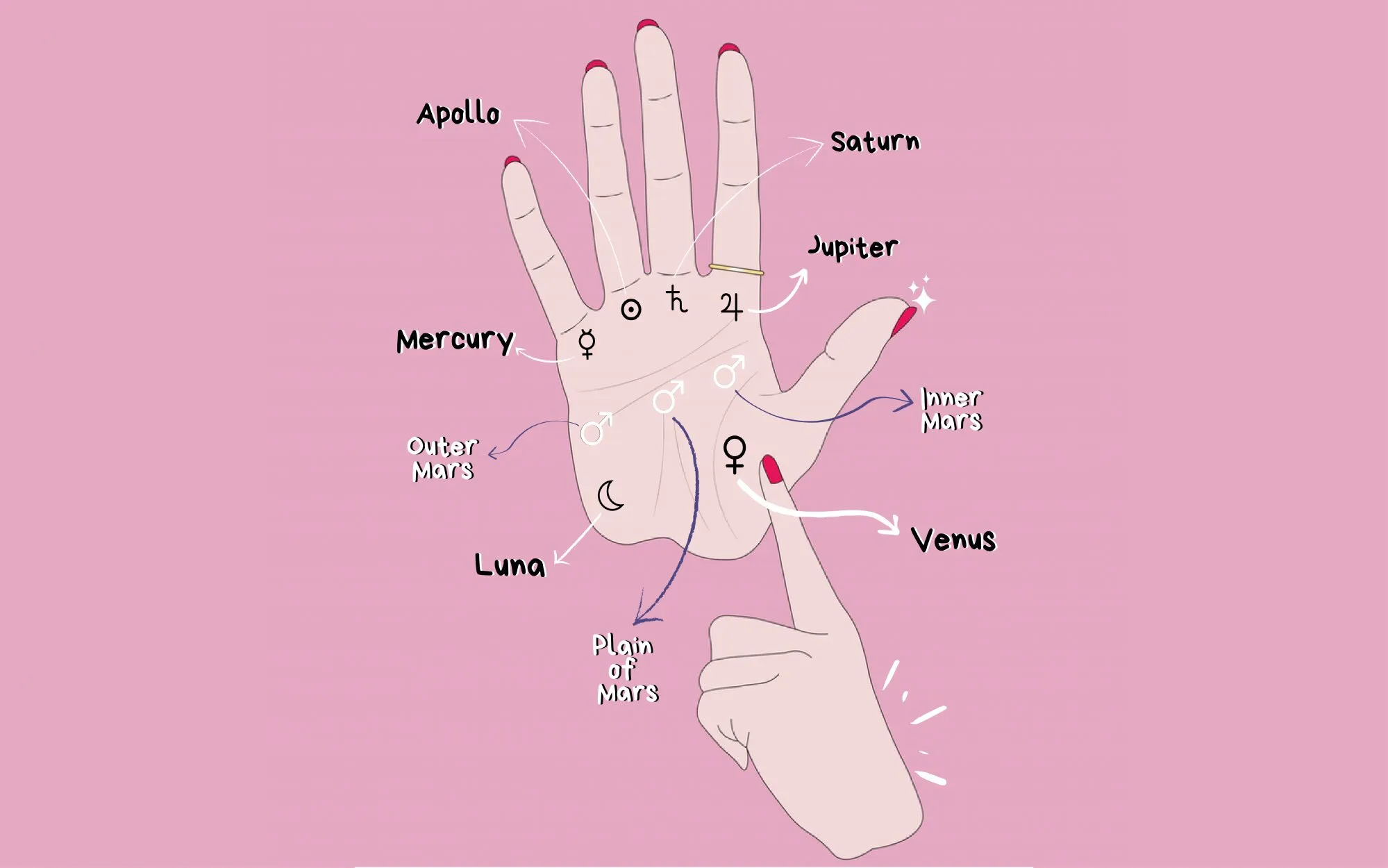 palm reading in melbourne