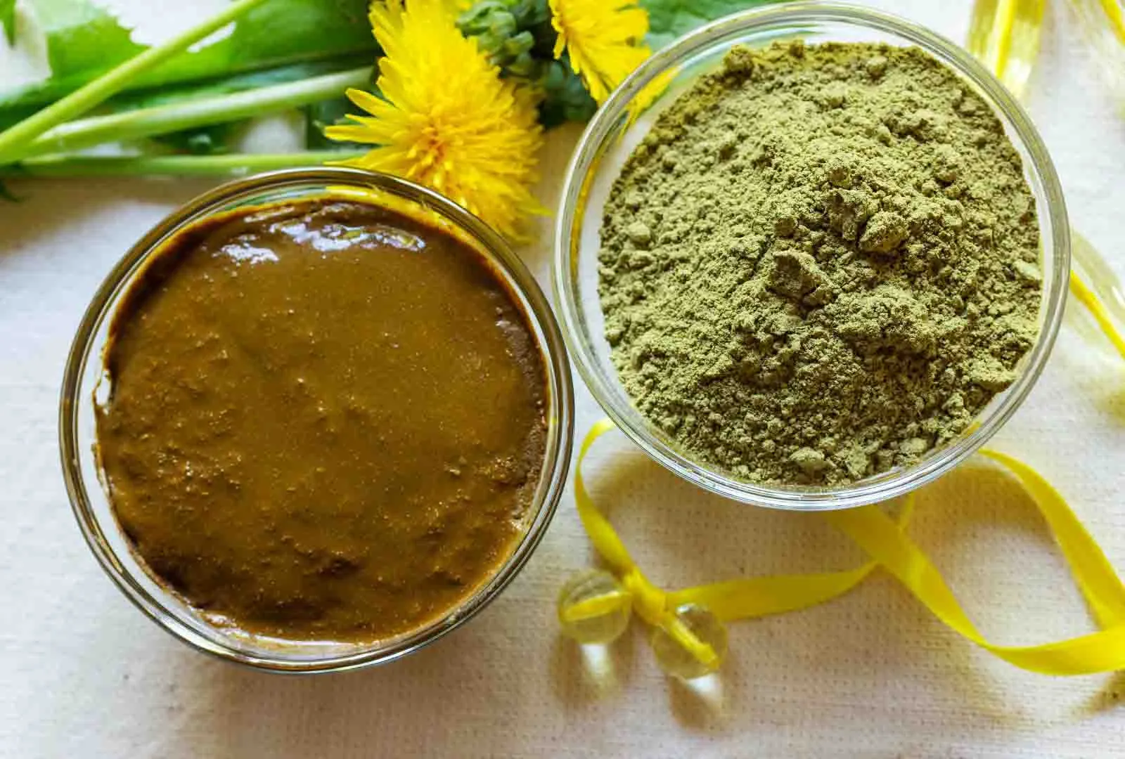 How to Choose High-Quality Henna Powder: A Buyer's Guide for Beginners