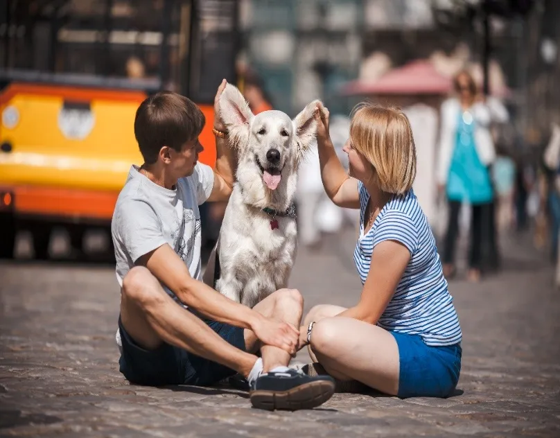 Is Doggy Day Care in Traverse City Worth It for Your Dog?