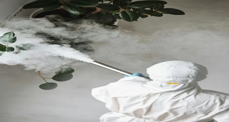 How Wet Weather Increases Pest Activity Around North Lakes Properties