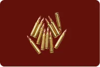 Best Gun Accessories That Elevate Your Shooting Performance