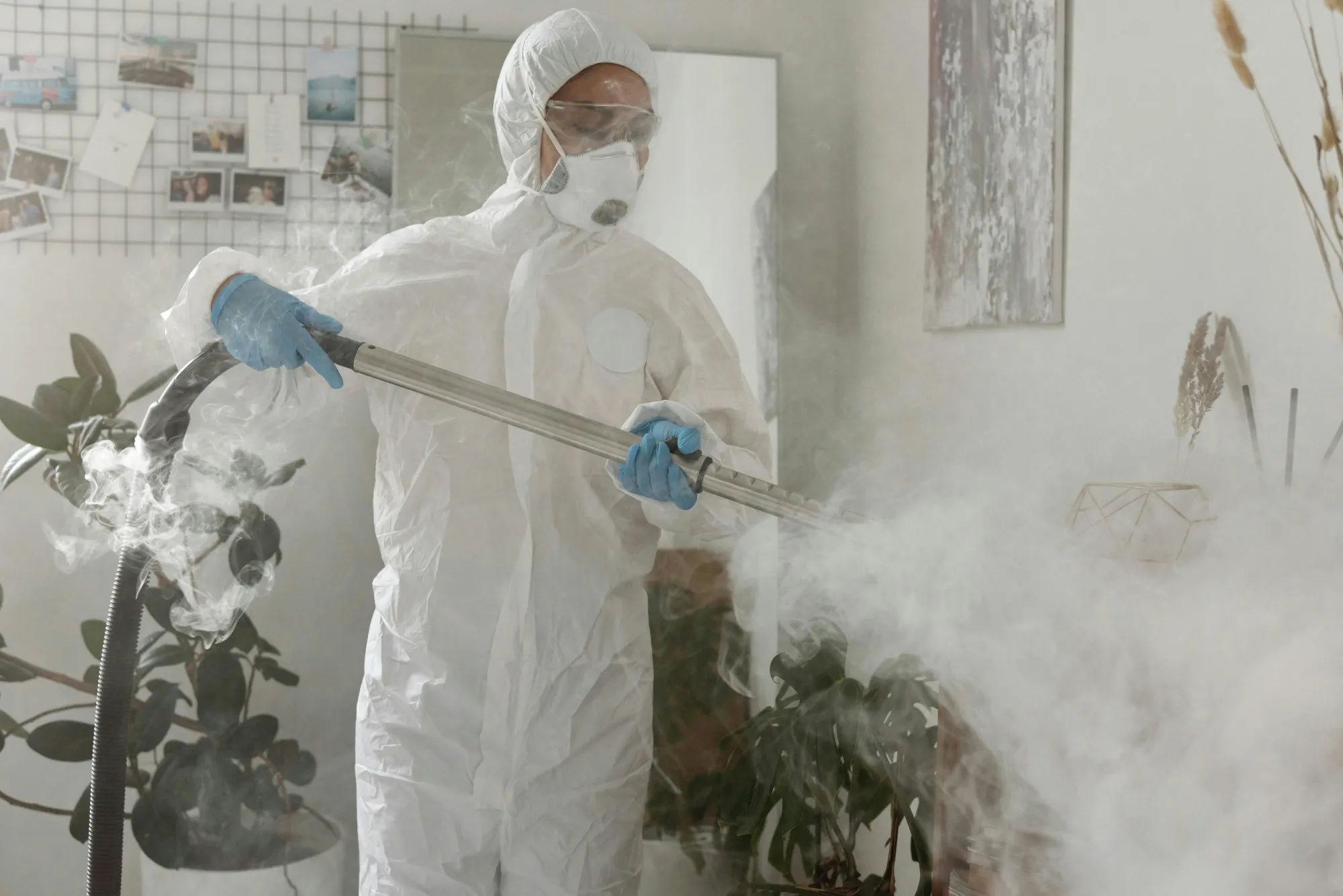 The Benefits of Preventative Pest Control for Somersby Businesses