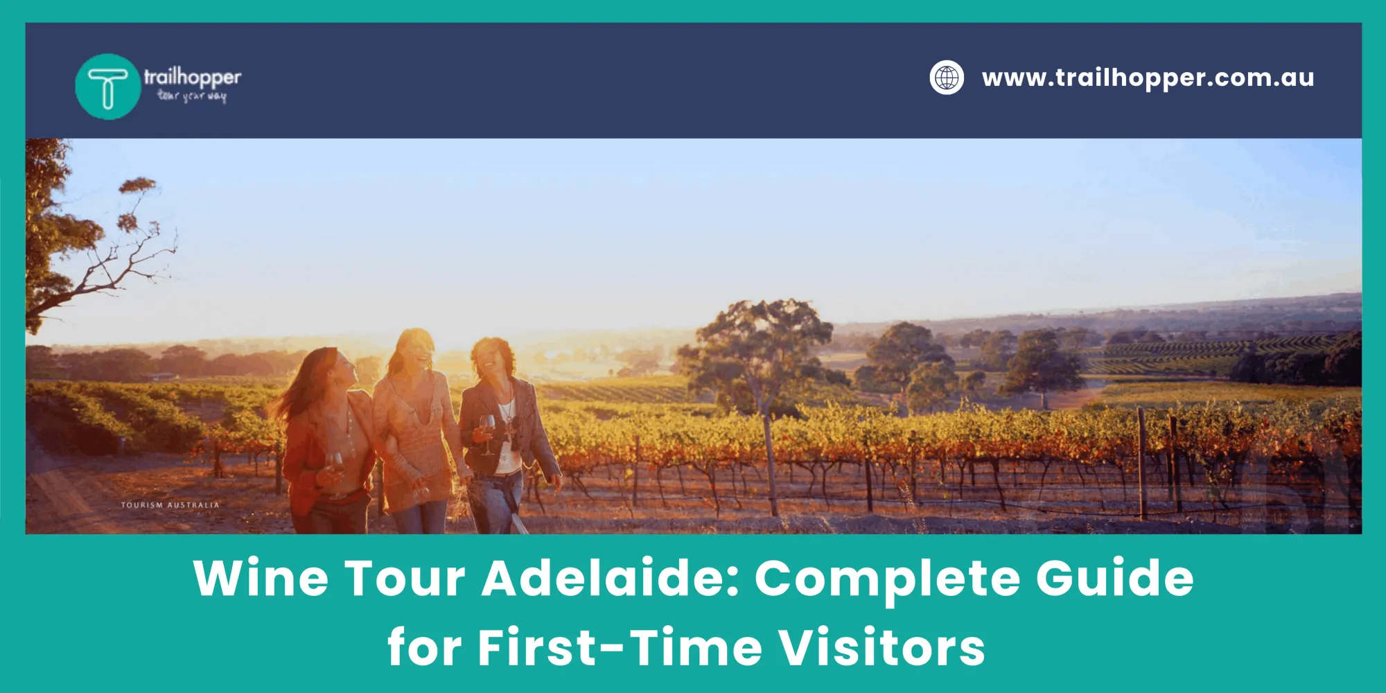 Wine Tour Adelaide: Complete Guide for First-Time Visitors
