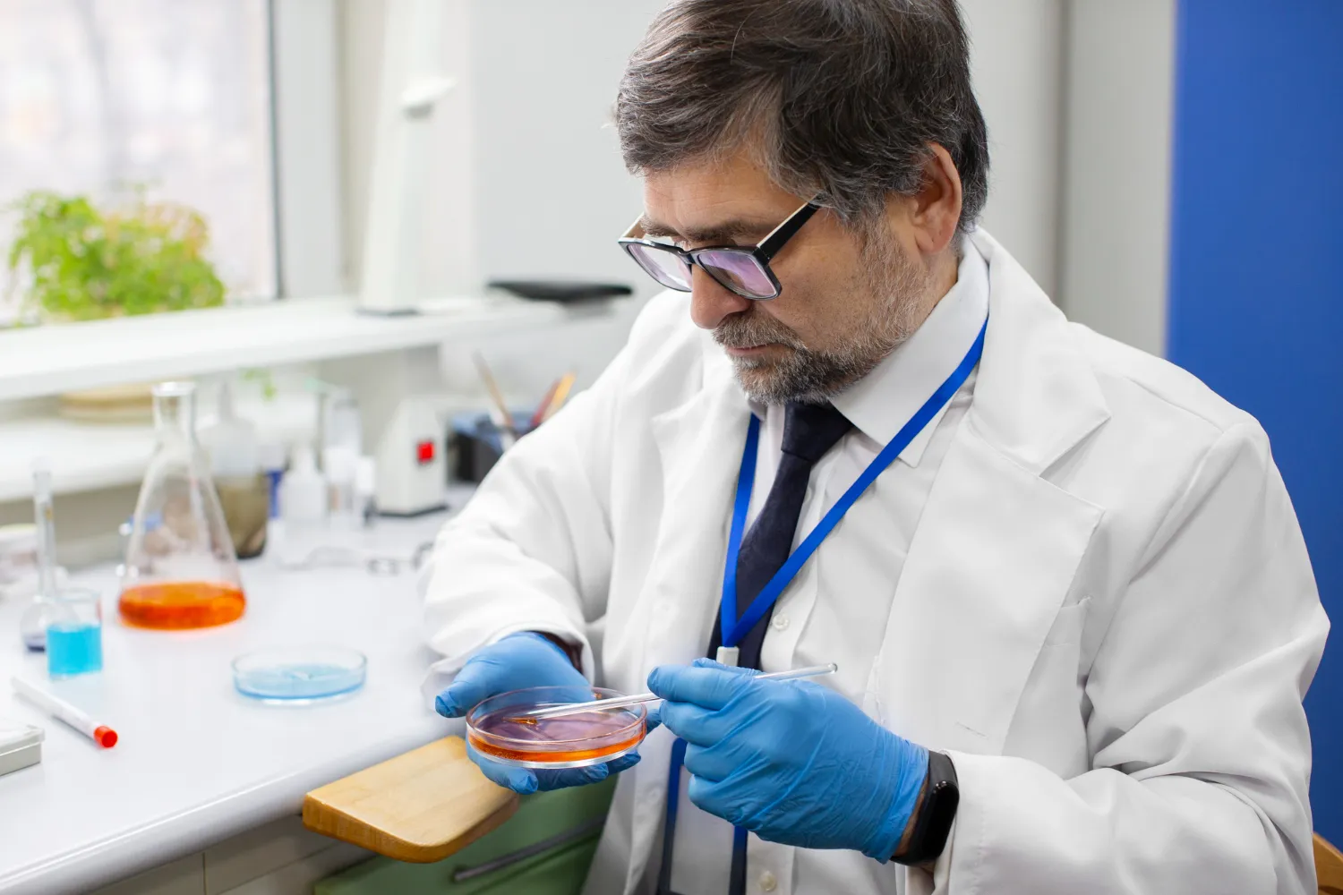 Aç Karnına ve Tok Karnına Yapılan Laboratuvar Testleri Arasındaki Farklar