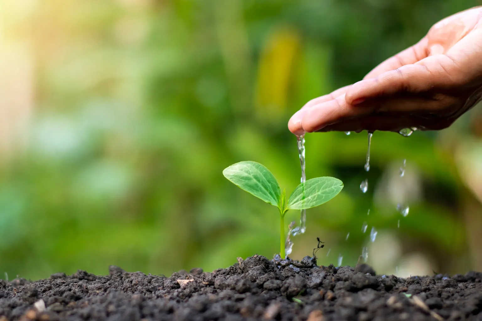 What Every Property Owner Should Know Before Excavation Begins