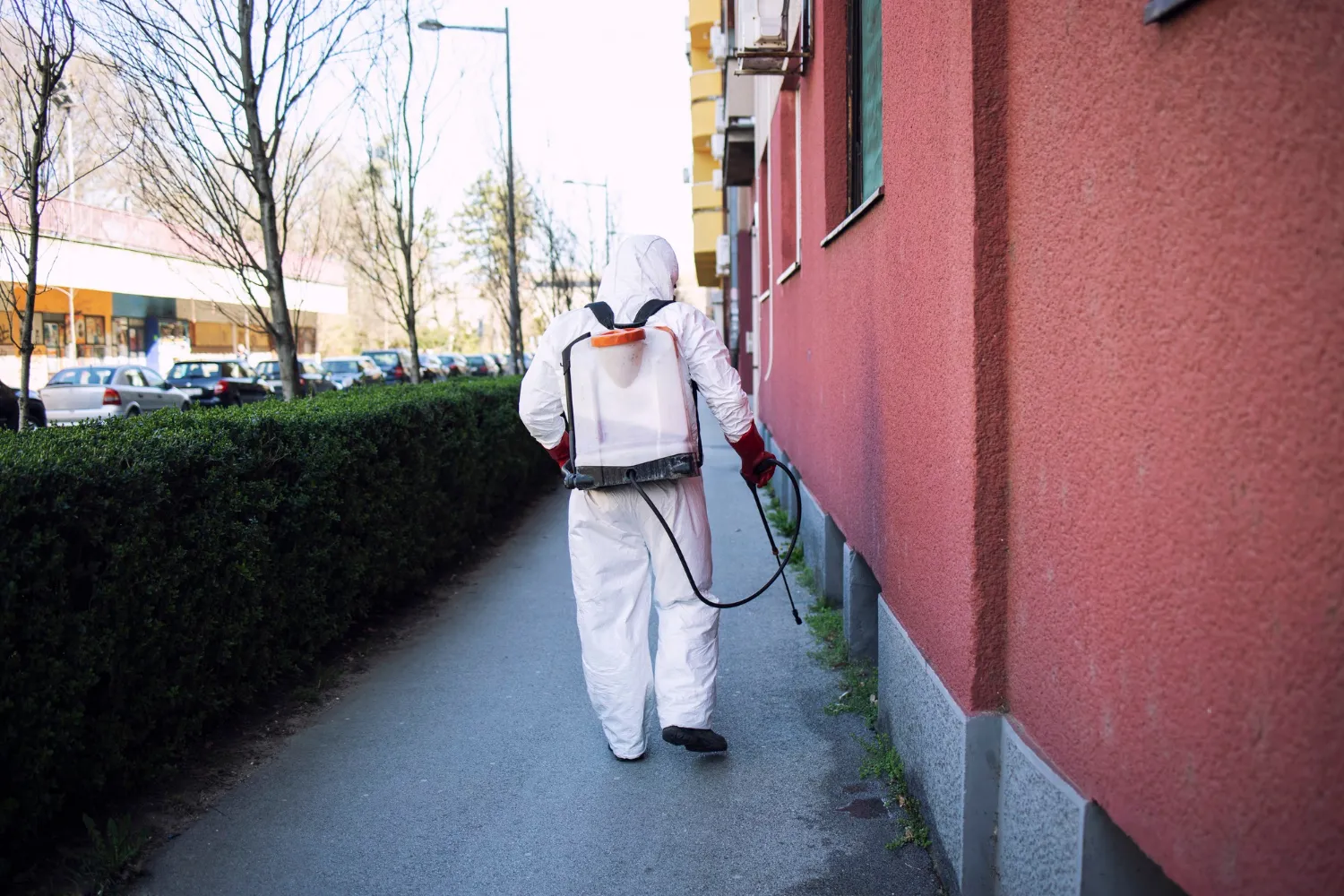 Common Pest Problems Solved by Pest Control Salisbury MD Professionals