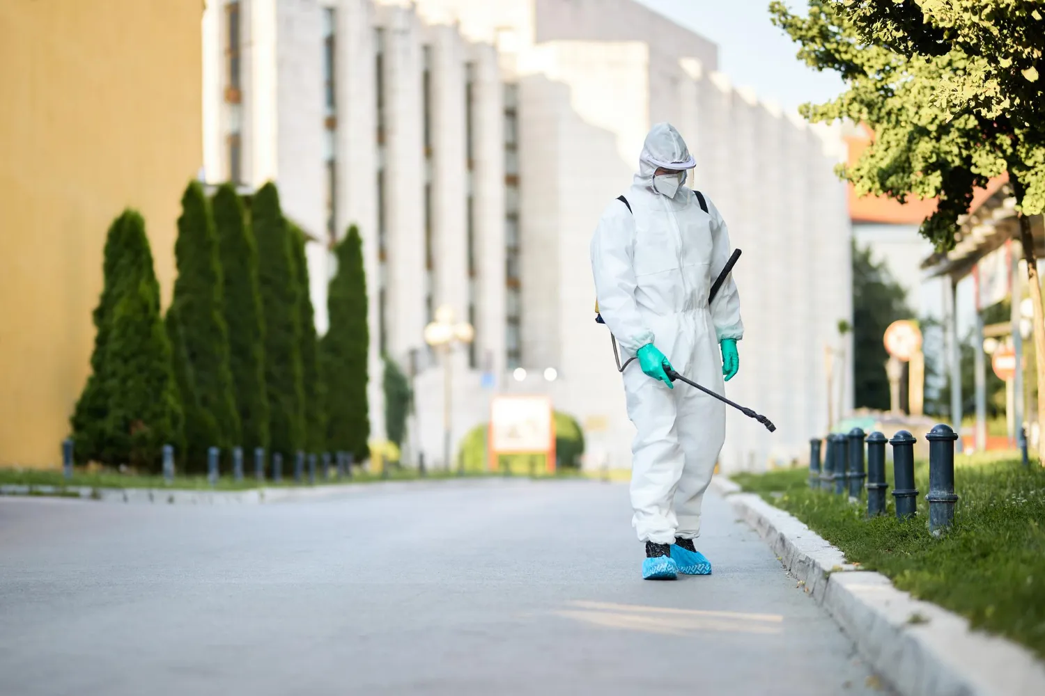 Top Benefits of Choosing Professional Pest Control Maryland Services
