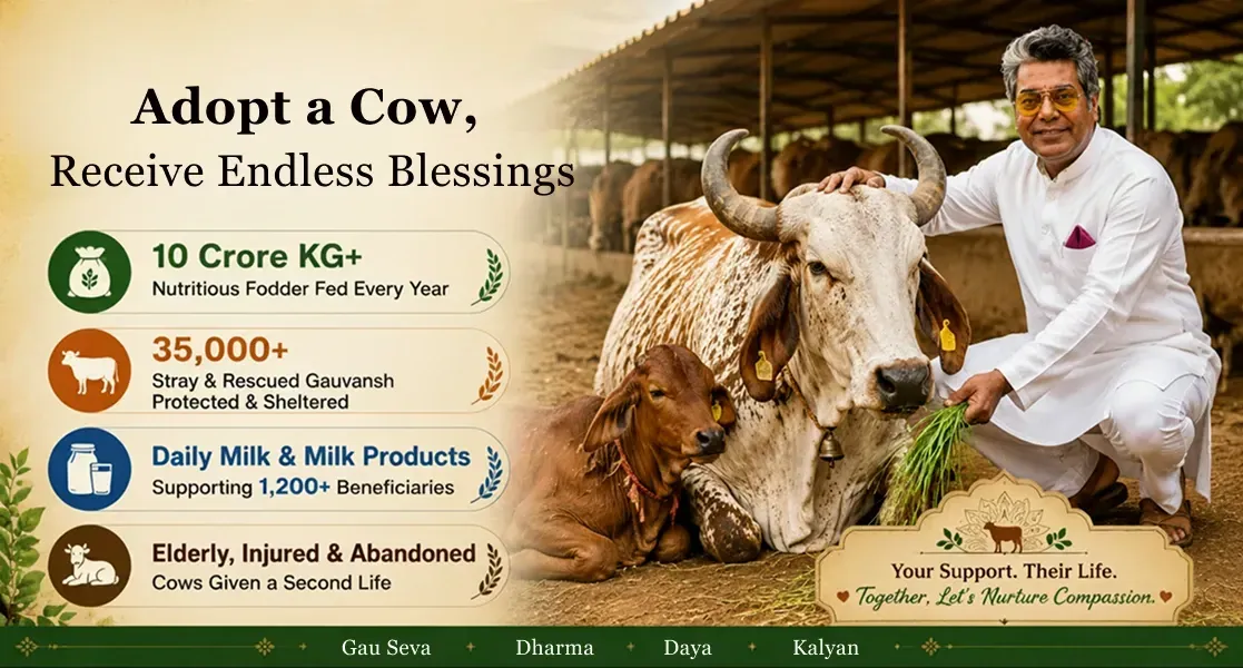 Feeding Cows Is an Act of Compassion: Why Supporting Fodder Seva Matters in Today’s World