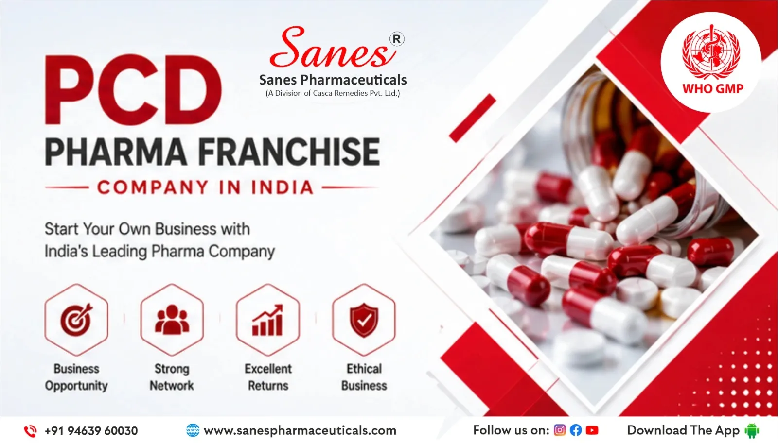 What is the profit margin in PCD pharma Business?