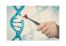 Comprehensive Guide to Noninvasive Prenatal Testing for Fetal Chromosomal Aneuploidies and Microduplications / Microdeletions (NIPT-Plus)