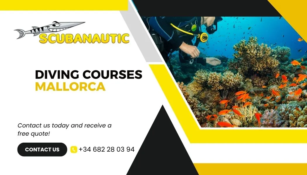 Dive Deeper into Mallorca’s Underwater World with Diving Courses Mallorca