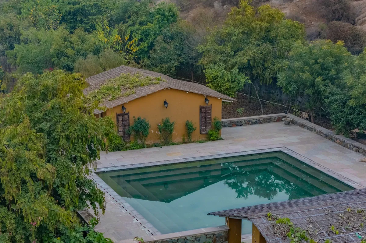 Why Sariska Is One of Rajasthan’s Top Nature Escapes