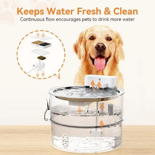 Enjoy Peaceful Hydration with Secure Pet Water Fountains