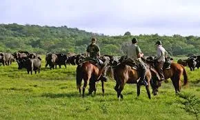 Why Horse Riding in Tanzania Creates Unforgettable African Safari Adventures
