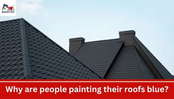 Why Have A Blue Roof
