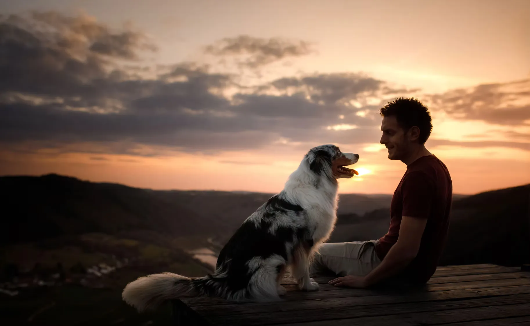 Why More Families Are Choosing Pet Euthanasia at Home for a Peaceful Goodbye