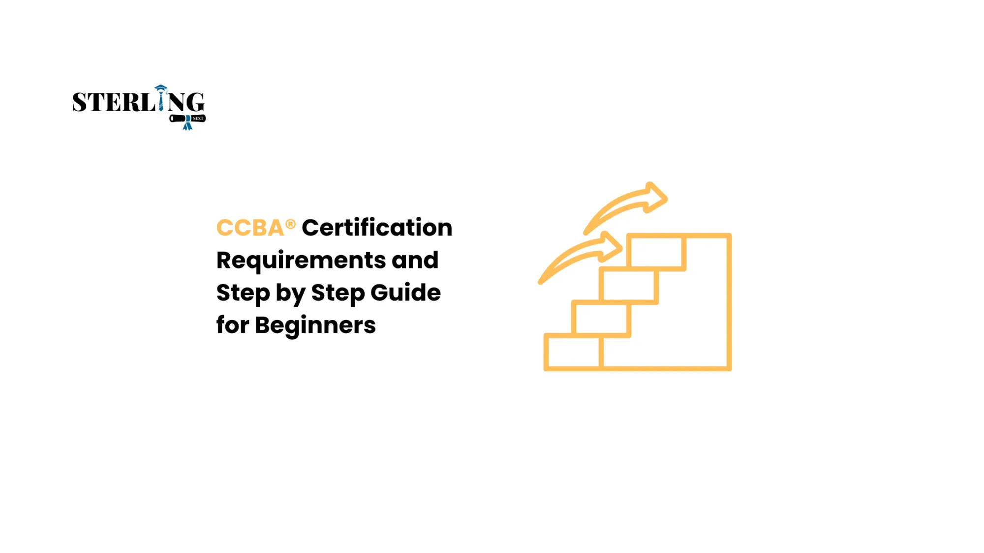 CCBA Certification Requirements and Step by Step Guide for Beginners