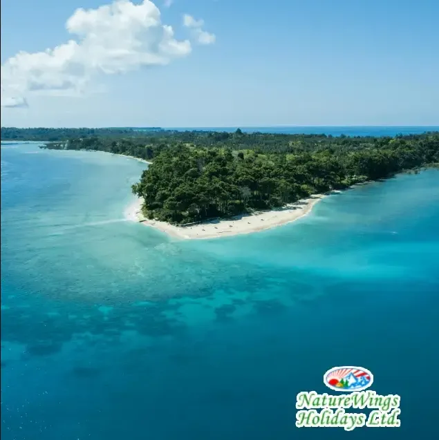 Best Time to Book an Andaman Tour Package from Kolkata for a Perfect Vacation