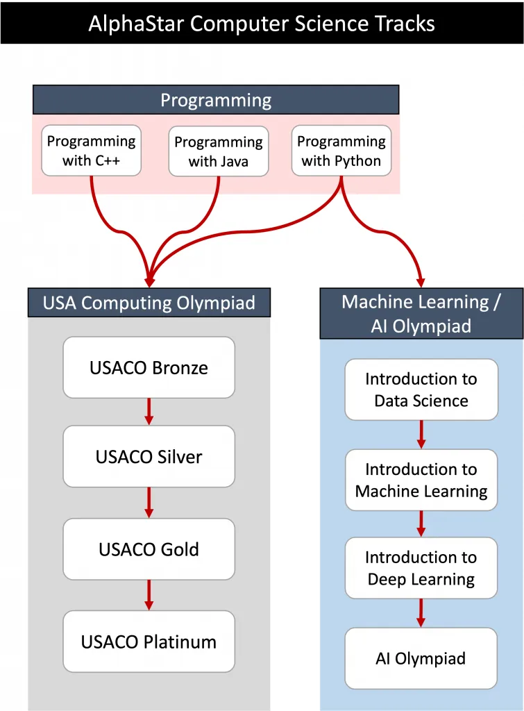 Why is structured training essential for students aiming to master competitive programming?