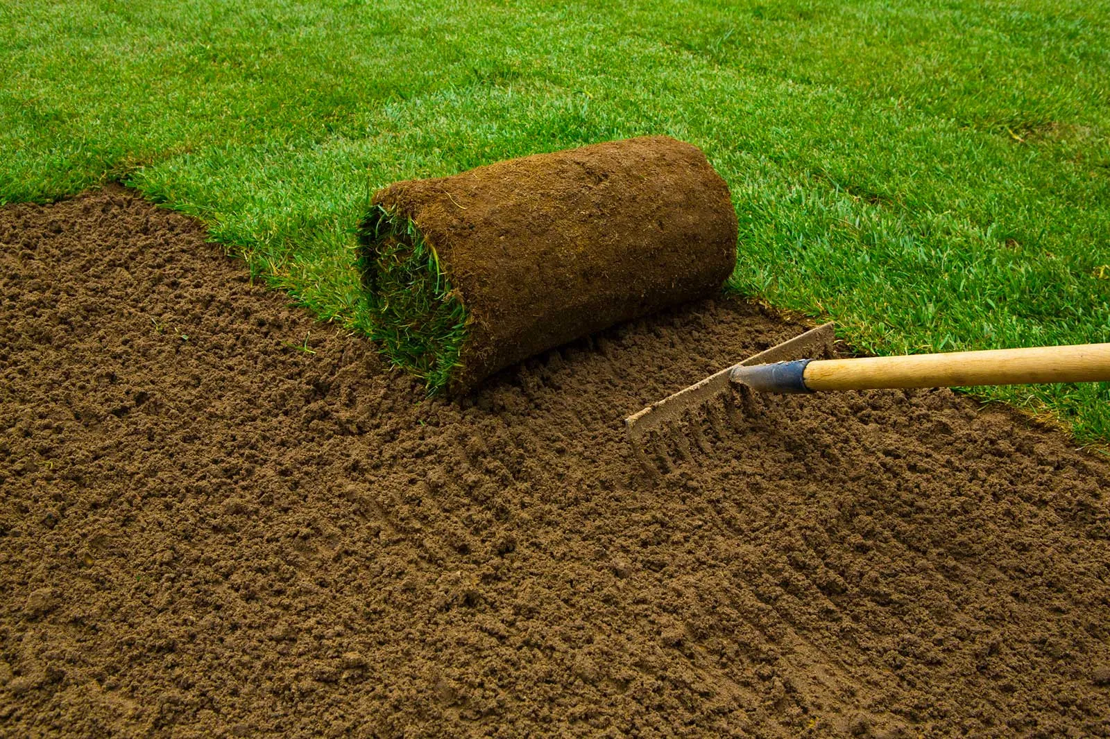 Why Quality Turf Is the Foundation of an Attractive, Functional, and Sustainable Outdoor Living Space