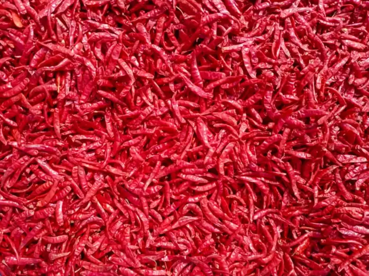 Why Global Buyers Prefer Indian Dry Red Chilli Wholesale Suppliers