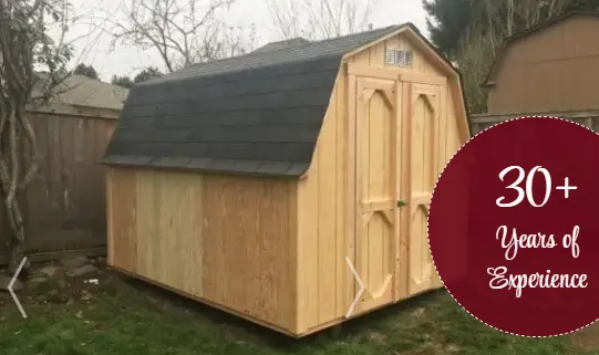 Mold-Proofing Tips for Wet Seattle Backyards