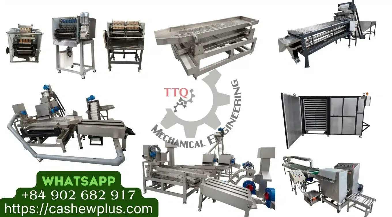 Boost Cashew Processing Efficiency with Advanced Peeling Technology