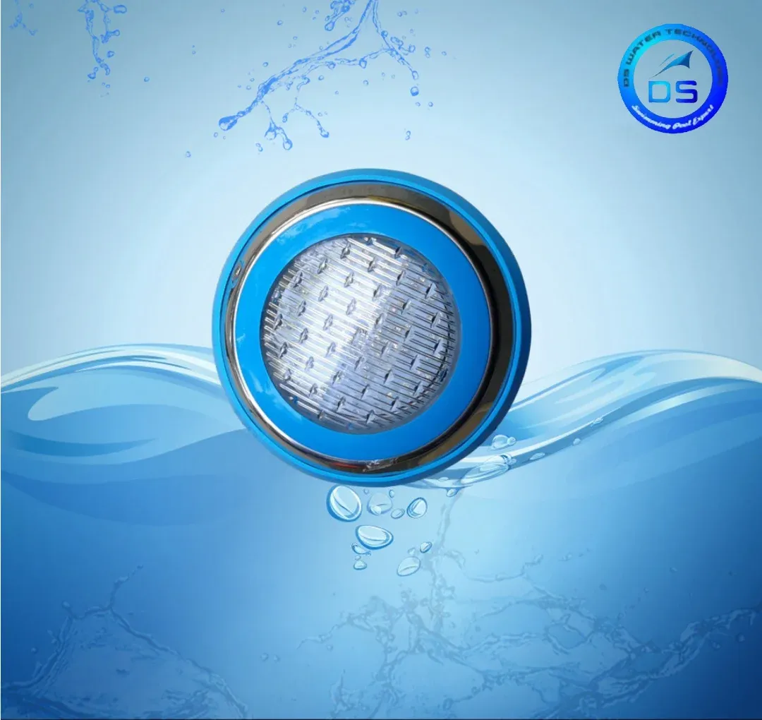 From Construction to Filtration: How DS Water Builds Complete Swimming Pool Solutions