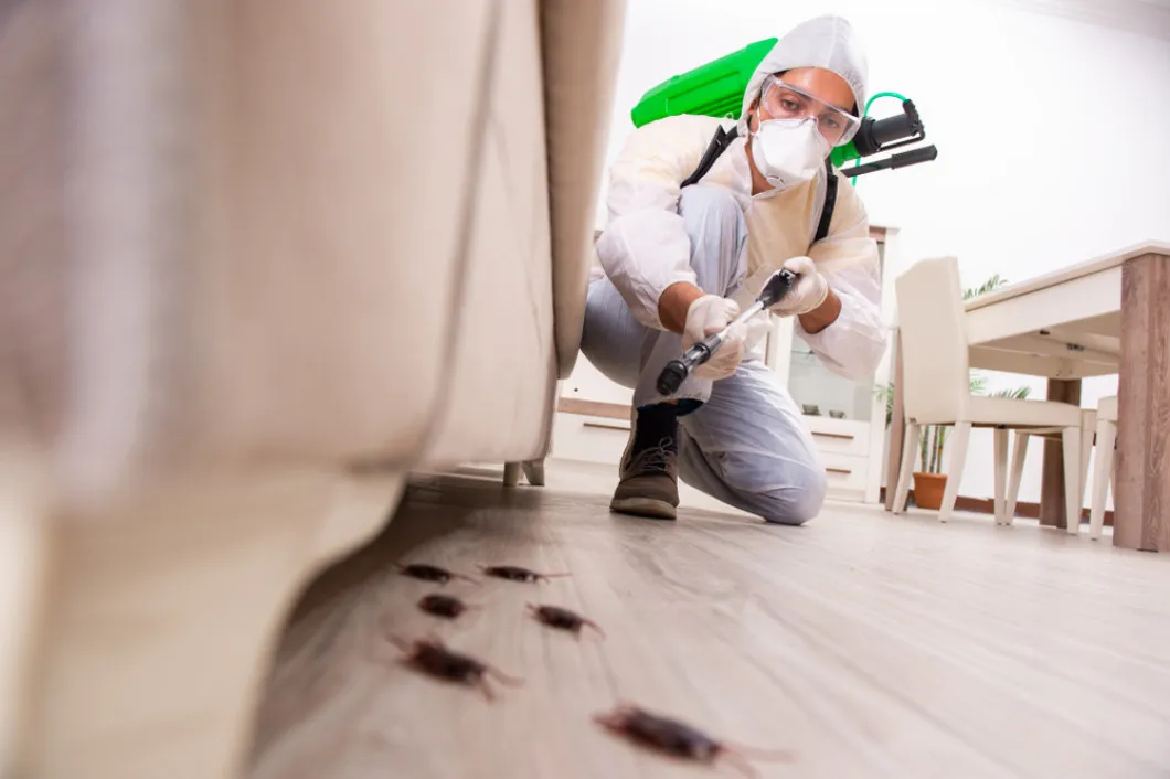 One Customer Who Sees a Pest Tells Ten More Who Never Walk Through Your Door
