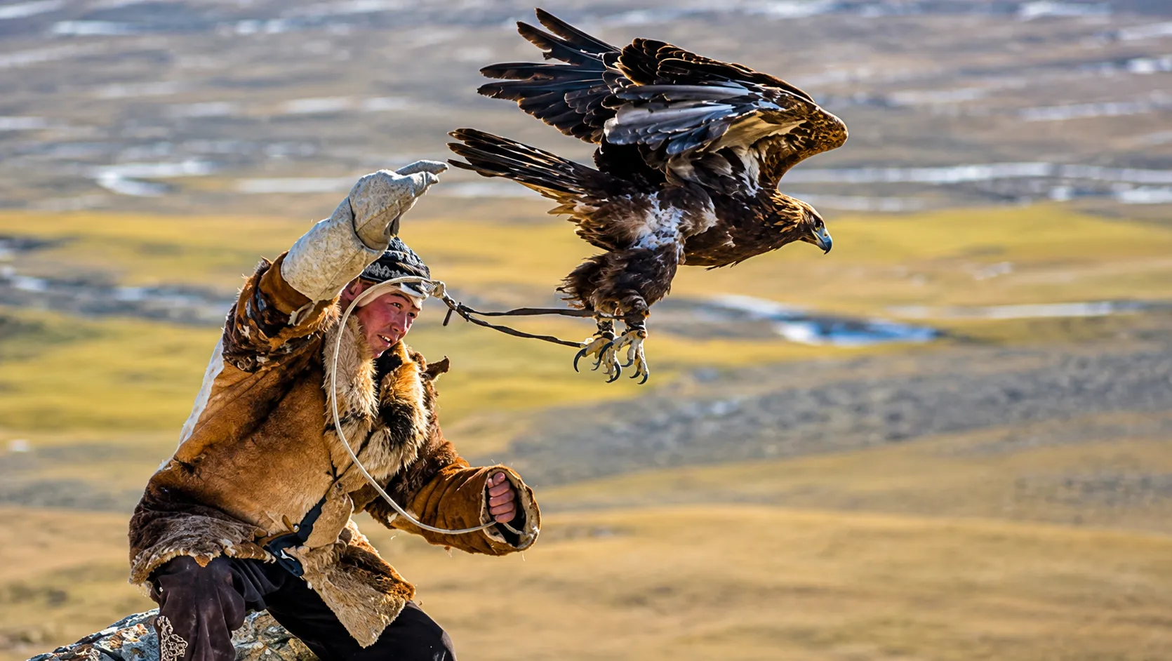Guardians of the Altai: Inside the Sacred World of Falconry in Mongolia