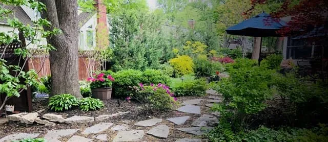Tree Trimming Services Kansas City