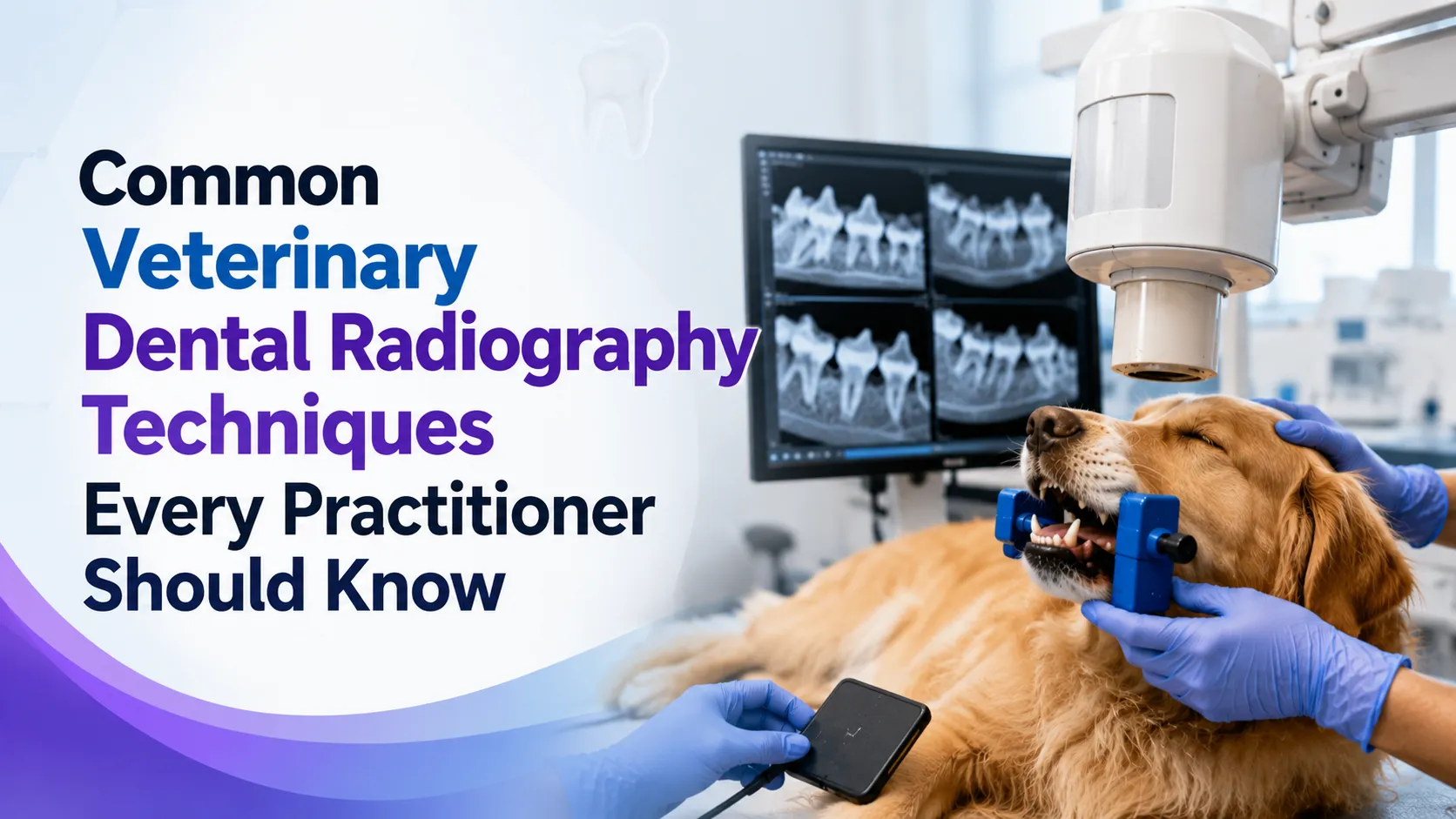 Common Veterinary Dental Radiography Techniques Every Practitioner Should Know