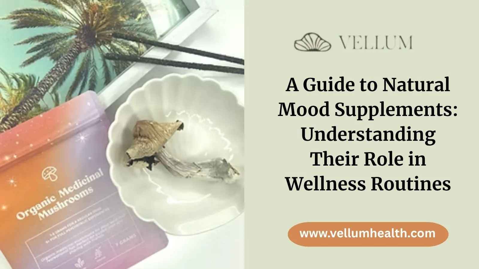 Natural Supplements for ADHD: A Wellness Guide
