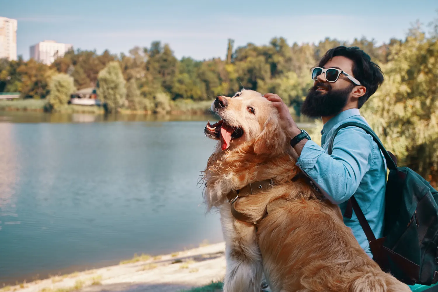 Everything You Need to Know About Pet Travel Health Certificates