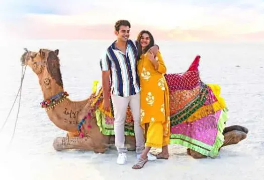 How to Plan the Perfect Rann Utsav Tour for an Unforgettable Experience