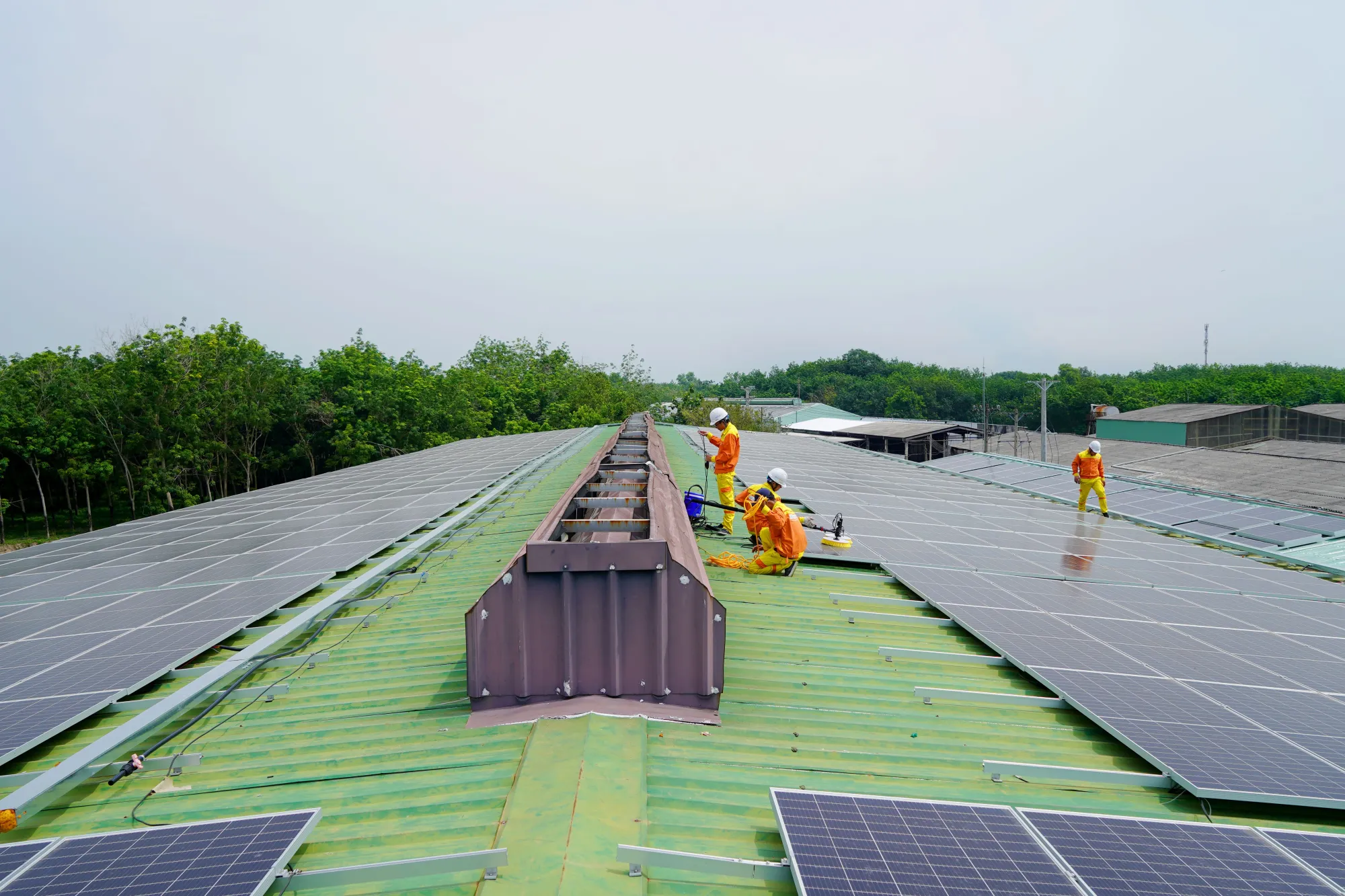 What Businesses Should Expect During Solar Installation