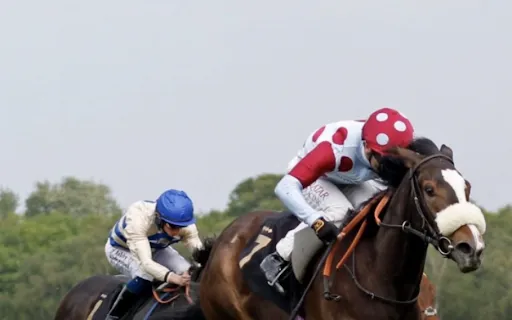 Madras Race Club: The Institution Behind Chennai's Horse Racing Heritage