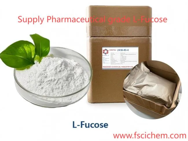 L-Fucose in Functional Food Formulation: What Manufacturers Should Know
