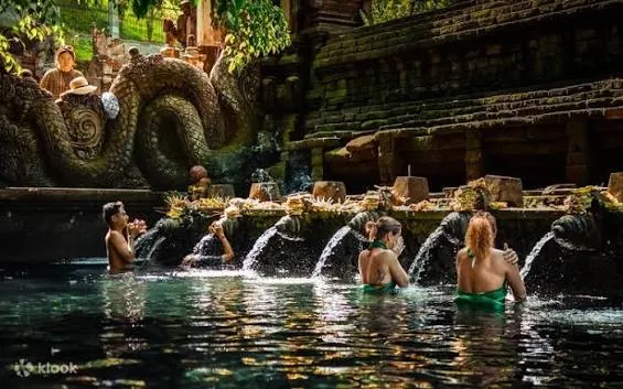 Experience Lasting Wellness Through Healing Retreats Hawaii