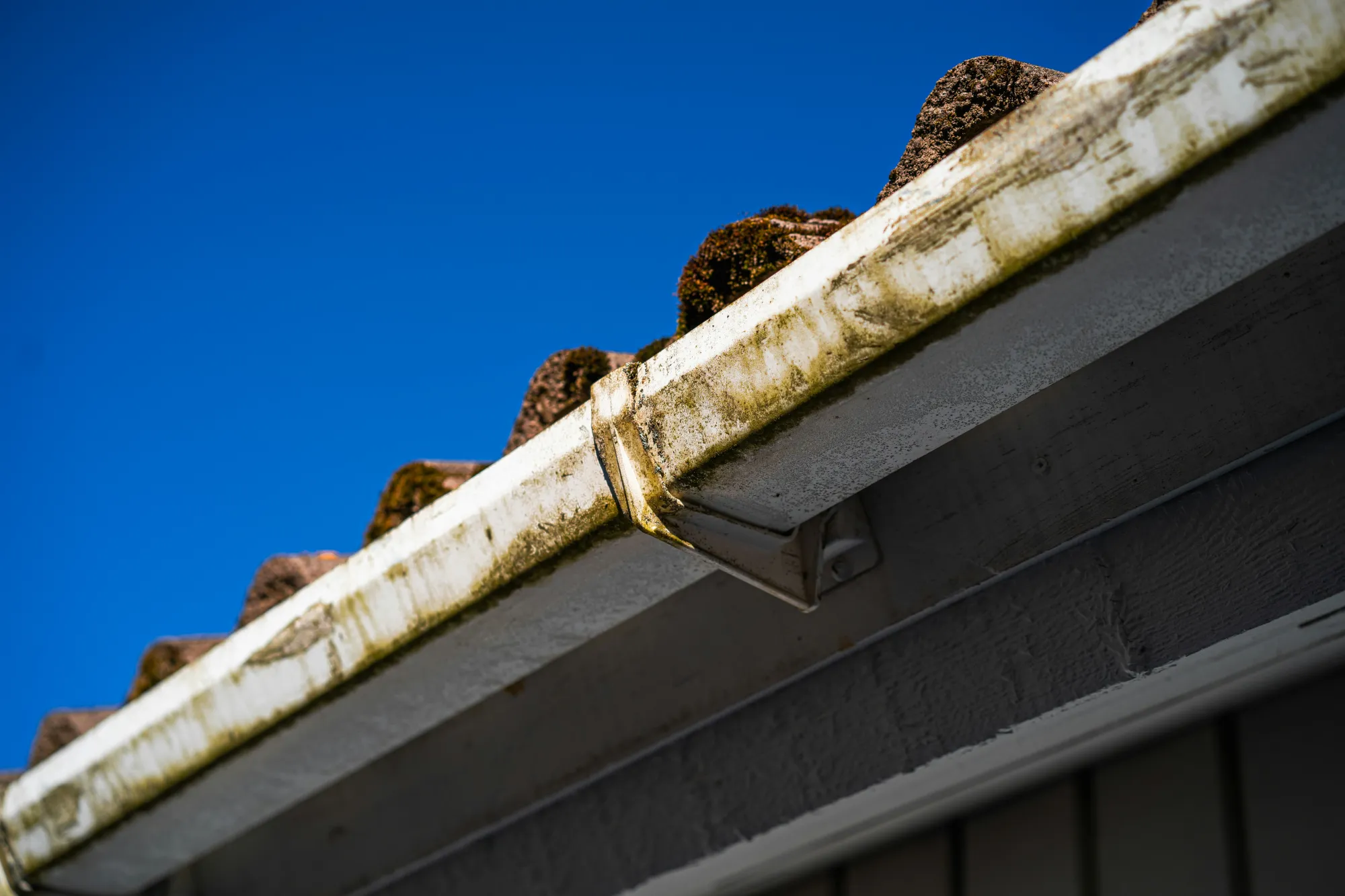 8 Signs Your Gutters Are Blocked and What to Do About It