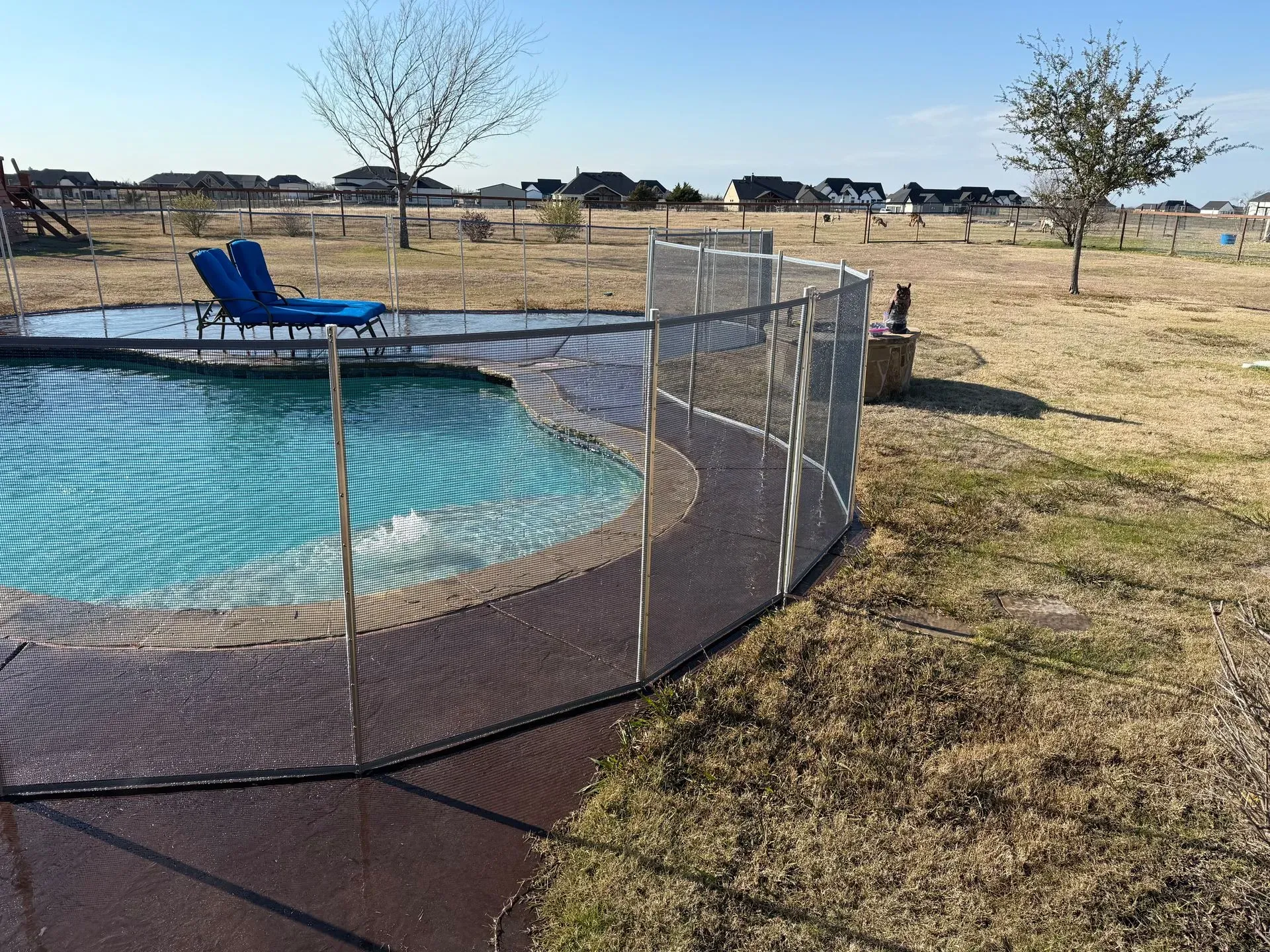 Pool Fence Considerations for Austin Homes with Frequent Backyard Guests