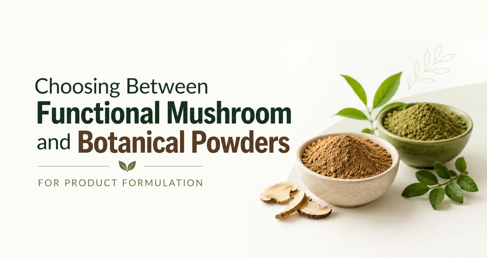 Choosing Between Functional Mushroom and Botanical Powders for Product Formulation