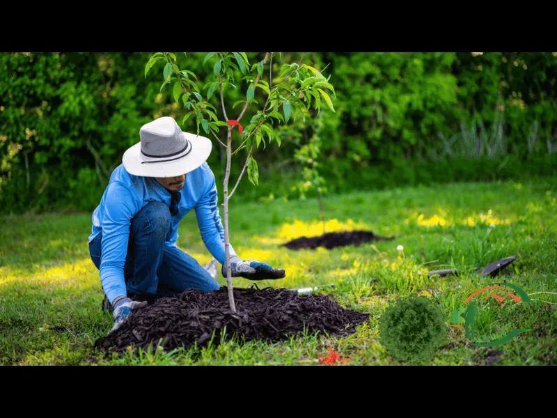 7 Reasons to Invest in a Lawn and Garden Care Service in Halifax