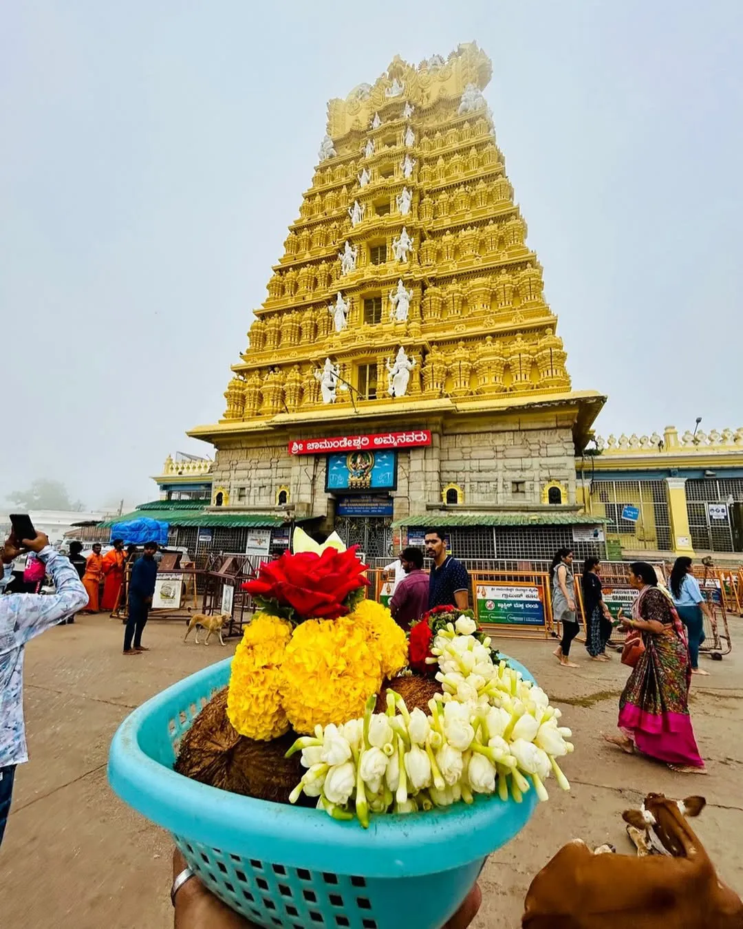 Best Time to Visit Mysore: A Complete Travel Guide for Every Season