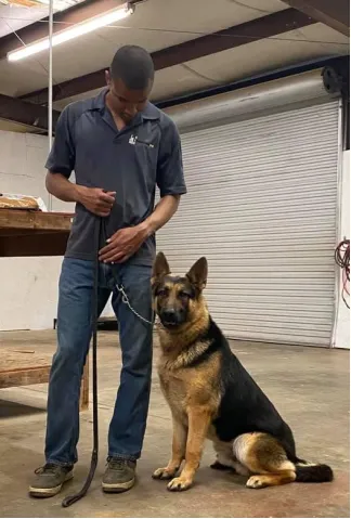 This photo shows a dog next to a trainer.