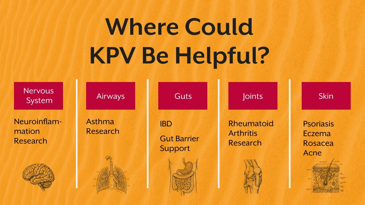 KPV Peptide: The Small Molecule People Keep Asking Me About