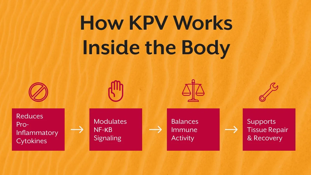 KPV Peptide: The Small Molecule People Keep Asking Me About