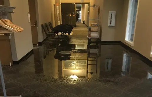 Why Home Water Damage Restoration Is Essential for Protecting Your Property